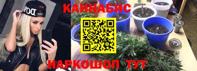 гидра Можайск