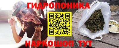 ГАЛЛЮЦИНОГЕННЫЕ ГРИБЫ Можга