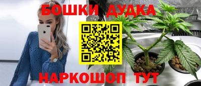 гидра Мариинск