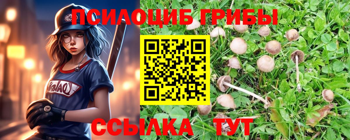 Псилоцибиновые грибы GOLDEN TEACHER  Йошкар-Ола 