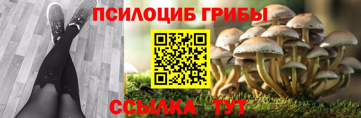 Псилоцибиновые грибы мухоморы  Вход с VPN  хочу наркоту  Йошкар-Ола  Галлюциногенные грибы прущие грибы 